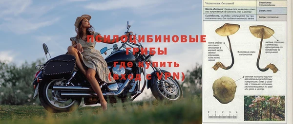 2c-b Алексин