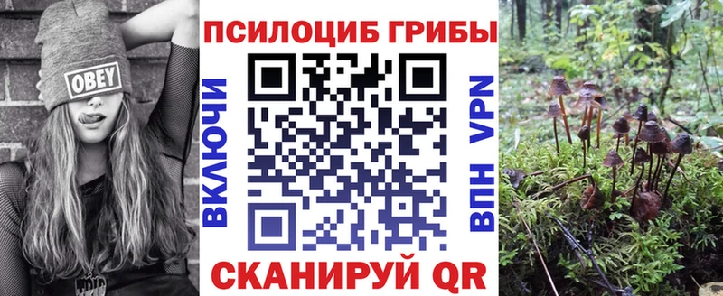 Галлюциногенные грибы Magic Shrooms  где купить наркоту  Кизилюрт 